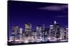 View of Manhattan Skyline from Brooklyn at Night, New York City-Zigi-Stretched Canvas