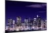 View of Manhattan Skyline from Brooklyn at Night, New York City-Zigi-Mounted Photographic Print