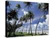 View of Manzanilla Bay, Port of Spain, Trinidad, Caribbean-Greg Johnston-Stretched Canvas