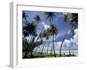 View of Manzanilla Bay, Port of Spain, Trinidad, Caribbean-Greg Johnston-Framed Premium Photographic Print