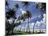 View of Manzanilla Bay, Port of Spain, Trinidad, Caribbean-Greg Johnston-Mounted Premium Photographic Print