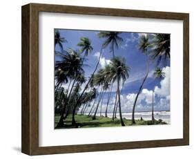 View of Manzanilla Bay, Port of Spain, Trinidad, Caribbean-Greg Johnston-Framed Photographic Print