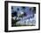 View of Manzanilla Bay, Port of Spain, Trinidad, Caribbean-Greg Johnston-Framed Photographic Print