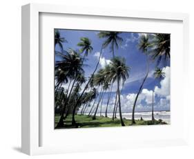 View of Manzanilla Bay, Port of Spain, Trinidad, Caribbean-Greg Johnston-Framed Photographic Print