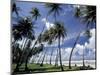 View of Manzanilla Bay, Port of Spain, Trinidad, Caribbean-Greg Johnston-Mounted Photographic Print