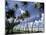 View of Manzanilla Bay, Port of Spain, Trinidad, Caribbean-Greg Johnston-Mounted Photographic Print