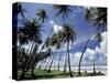 View of Manzanilla Bay, Port of Spain, Trinidad, Caribbean-Greg Johnston-Stretched Canvas