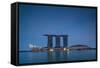 View of Marina Bay Sands Hotel from Marina Reservoir, Marina Bay, Singapore-null-Framed Stretched Canvas