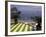 View of Mazzaro Beach from Restaurant, Taormina, Sicily, Italy-Connie Ricca-Framed Photographic Print