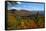 View of McKenzie Pond from Mount Baker, Adirondack Mountains State Park, New York State, USA-null-Framed Stretched Canvas