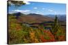 View of McKenzie Pond from Mount Baker, Adirondack Mountains State Park, New York State, USA-null-Stretched Canvas