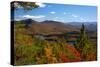 View of McKenzie Pond from Mount Baker, Adirondack Mountains State Park, New York State, USA-null-Stretched Canvas