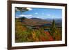 View of McKenzie Pond from Mount Baker, Adirondack Mountains State Park, New York State, USA-null-Framed Photographic Print