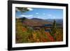 View of McKenzie Pond from Mount Baker, Adirondack Mountains State Park, New York State, USA-null-Framed Photographic Print