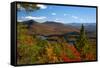 View of McKenzie Pond from Mount Baker, Adirondack Mountains State Park, New York State, USA-null-Framed Stretched Canvas