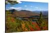 View of McKenzie Pond from Mount Baker, Adirondack Mountains State Park, New York State, USA-null-Stretched Canvas
