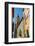 View of Medieval Basilique Saint Michel, Menton, Alpes-Maritimes, Cote D'Azur, Provence-Frank Fell-Framed Photographic Print