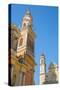 View of Medieval Basilique Saint Michel, Menton, Alpes-Maritimes, Cote D'Azur, Provence-Frank Fell-Stretched Canvas