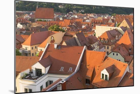 View of Meissen, Saxony, Germany, Europe-Ian Trower-Mounted Photographic Print