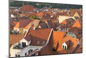 View of Meissen, Saxony, Germany, Europe-Ian Trower-Mounted Photographic Print