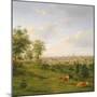 View of Melbourne, 19th Century-Henry Gritten-Mounted Giclee Print