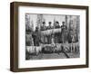 View of Men and Women with their Huge Trout Catch - Seward, AK-Lantern Press-Framed Art Print
