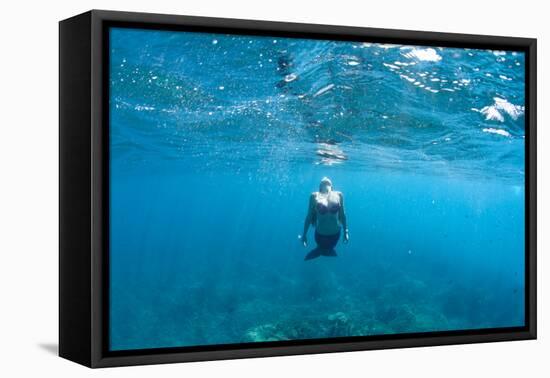View of Mermaid Swimming in Ocean, Hawaii, USA-null-Framed Stretched Canvas