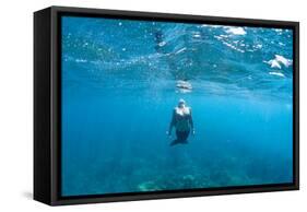 View of Mermaid Swimming in Ocean, Hawaii, USA-null-Framed Stretched Canvas