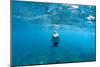 View of Mermaid Swimming in Ocean, Hawaii, USA-null-Mounted Photographic Print