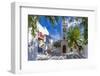 View of Metropolitan Church in cobbled street, Mykonos Town, Mykonos, Cyclades Islands, Aegean Sea-Frank Fell-Framed Photographic Print