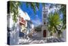 View of Metropolitan Church in cobbled street, Mykonos Town, Mykonos, Cyclades Islands, Aegean Sea-Frank Fell-Stretched Canvas