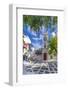 View of Metropolitan Church in cobbled street, Mykonos Town, Mykonos, Cyclades Islands, Aegean Sea-Frank Fell-Framed Photographic Print