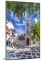 View of Metropolitan Church in cobbled street, Mykonos Town, Mykonos, Cyclades Islands, Aegean Sea-Frank Fell-Mounted Photographic Print