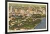 View of Miami, Florida-null-Framed Art Print