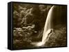 View of Middle North Falls, Silver Falls State Park, Oregon, USA-Adam Jones-Framed Stretched Canvas