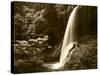 View of Middle North Falls, Silver Falls State Park, Oregon, USA-Adam Jones-Stretched Canvas