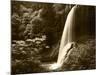 View of Middle North Falls, Silver Falls State Park, Oregon, USA-Adam Jones-Mounted Photographic Print