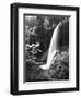 View of Middle North Falls, Silver Falls State Park, Oregon, USA-Adam Jones-Framed Photographic Print