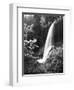 View of Middle North Falls, Silver Falls State Park, Oregon, USA-Adam Jones-Framed Photographic Print