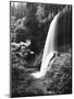 View of Middle North Falls, Silver Falls State Park, Oregon, USA-Adam Jones-Mounted Photographic Print