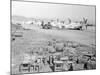 View of Military Armament Field-null-Mounted Photographic Print