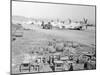 View of Military Armament Field-null-Mounted Photographic Print