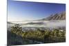 View of mist over Montagu at dawn, Western Cape, South Africa, Africa-Ian Trower-Mounted Photographic Print