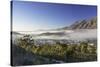 View of mist over Montagu at dawn, Western Cape, South Africa, Africa-Ian Trower-Stretched Canvas