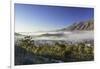 View of mist over Montagu at dawn, Western Cape, South Africa, Africa-Ian Trower-Framed Photographic Print