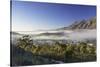 View of mist over Montagu at dawn, Western Cape, South Africa, Africa-Ian Trower-Stretched Canvas