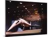 View of Mockup of Lockheed 2000 Supersonic Transport-null-Mounted Photographic Print