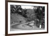 View of Model-T Fords on Redwood Highway - Hopland, CA-Lantern Press-Framed Art Print