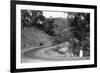 View of Model-T Fords on Redwood Highway - Hopland, CA-Lantern Press-Framed Art Print