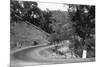 View of Model-T Fords on Redwood Highway - Hopland, CA-Lantern Press-Mounted Art Print